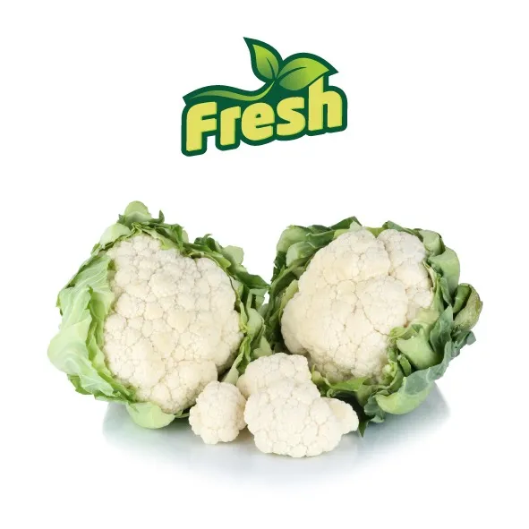 القرنبيط ( زهرة )